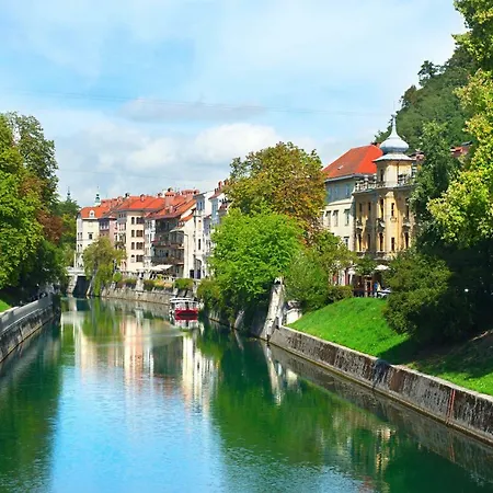Optim Ljubljana